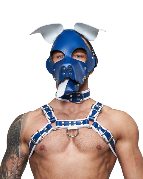 Mister B Leather Circuit Floppy Dog Hood – Blue White