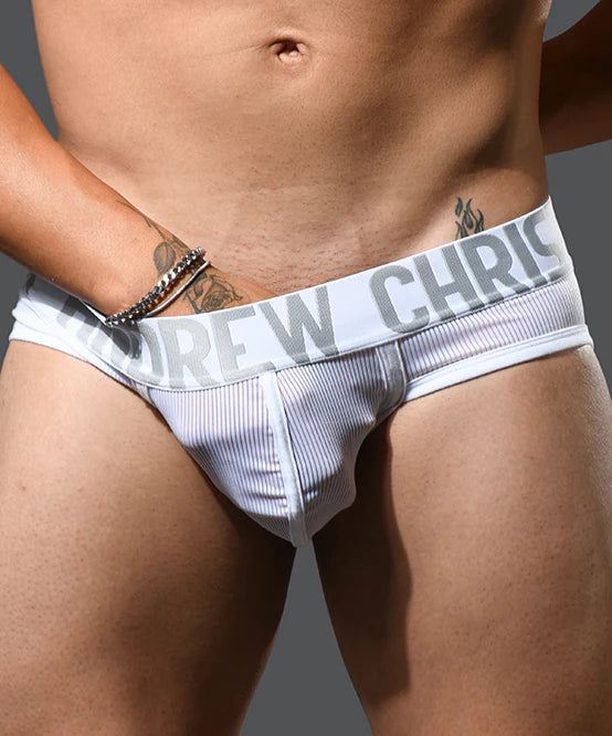Andrew Christian Alpine Sheer Brief