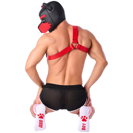 Good Boy Socken von Kinky Puppy