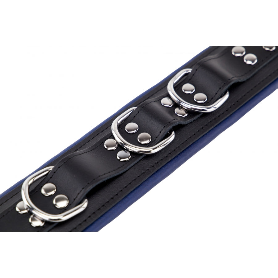 Lederhalsband - gepolstert - 3 D-Ringe - Schwarz/Blau
