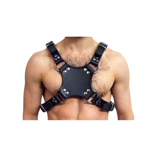 Mister B Leder-Walking-Harness – Black/Black